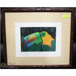 FRAMED TOUCAN SIGNED PICTURE "TOUCAN DREAMS"