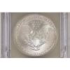 Image 2 : 2005 AMERICAN SILVER EAGLE ICG MS69