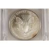 Image 2 : 1996 AMERICAN SILVER EAGLE ICG MS69