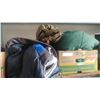 Image 2 : WINDIGO 9 FOOT BY 8 FOOT FOUR PERSON TENT WITH 4 SLEEPING BAGS AND AIR MATTRESS