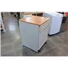 Image 2 : GE PORTABLE DISHWASHER WORKING WITH BUTCHER BLOCK TOP