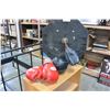 Image 1 : BOXING SPEED BAG AND MOUNT AND GLOVES