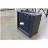 Image 3 : ION GUITAR AMP 1GA03