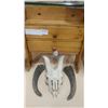 Image 1 : VINTAGE KITCHEN HOLDER AND GOAT SKULL