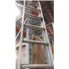 Image 2 : 12 FOOT EXTENTION LADDER