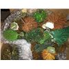 Image 1 : O Scale Fruit and Evergreen Trees