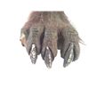 Image 2 : Underworld: Lycan Feet Movie Props