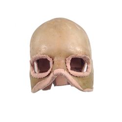 Underworld: Awakening Protoype Skull Movie Costumes