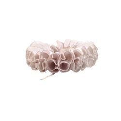 Tulip Fever Cornelis Sandvoort (Christoph Waltz) Ruff Movie Costumes