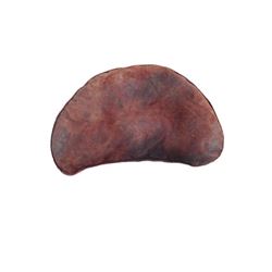 Tulip Fever Sandbag Movie Props