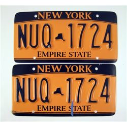 Paranoia Adam Cassidy (Liam Hemsworth) Hero License Plates Movie Props