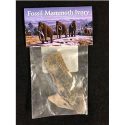 FOSSIL MAMMOTH IVORY