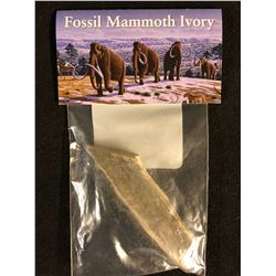 FOSSIL MAMMOTH IVORY