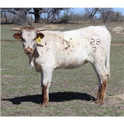 BRR POWER SURGE 28/7