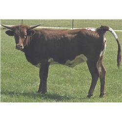 SR 007'S HONEYBUN 680