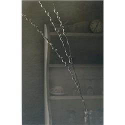 Bennett, William E., PUSSYWILLOWS, a gelatin silver print circa 1945-50 by this Canadian photog...