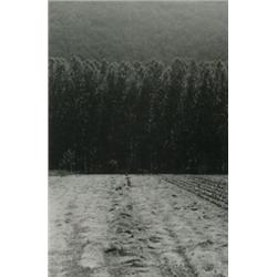 Boubat, Edouard (1922-1999), WOMAN WORKING IN FIELD, a gelatin silver print signed in ink under...