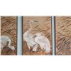 Image 7 : 4-Panel Artwork with Cranes, Each Panel 17”x47”
