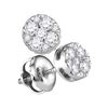 Image 1 : 0.25 CTW Diamond Cluster Earrings 14KT White Gold - REF-25F4N