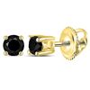 0.25 CTW Black Color Diamond Solitaire Earrings 14KT Yellow Gold - REF-10F5N