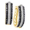 Image 1 : 1 CTW Black Color Diamond Triple Row Hoop Earrings 14KT Yellow Gold - REF-75K2W