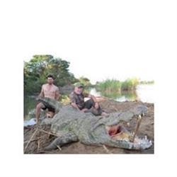 African Crocodile  Hunt