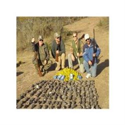 Mexico Dove Hunt