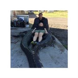 Florida Trophy Alligator Hunt