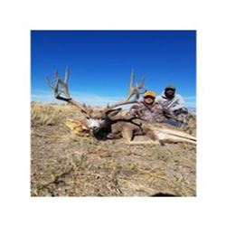 Utah Mule Deer Hunt
