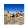 Image 1 : Utah Mule Deer Hunt