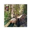 Image 1 : Colorado Bull Elk Hunt