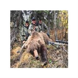 Alaska Brown Bear/ Black Bear Combo Hunt