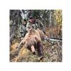Image 1 : Alaska Brown Bear/ Black Bear Combo Hunt