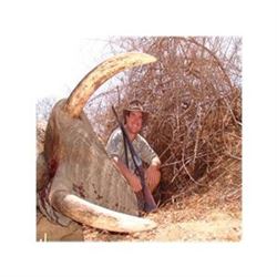 African Bull Elephant Hunt