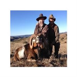 Spanish Red Deer & Ibex Hunt