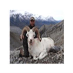 Northwest Territories Dall Sheep Hunt