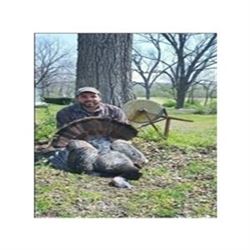 Illinois Spring Wild Turkey Hunt