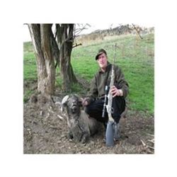 New Zealand Alpine Ram Hunt