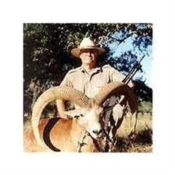 Texas Aoudad Hunt