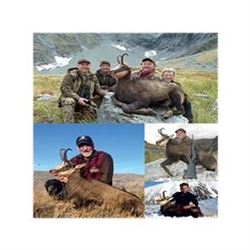 New Zealand Buck Chamois Hunt