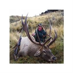 New Zealand Bull Tahr Hunt