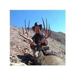 British Columbia Choice Hunt