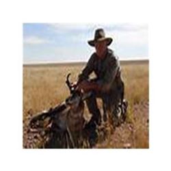 Wyoming Trophy Pronghorn Hunt