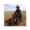 Image 1 : Wyoming Trophy Pronghorn Hunt