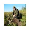 Image 1 : Ireland Sika Stag Hunt