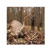Image 1 : Ohio Whitetail Deer Hunt