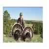 Image 1 : Nebraska Spring Merriam Turkey Hunt
