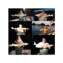 Sturgeon Fishing Trip