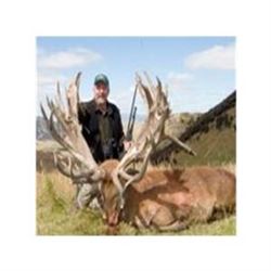 New Zealand 3-Day Red Stag 300 to 360 SCI