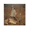 Image 1 : Bronze Fallow Deer Hunt in France